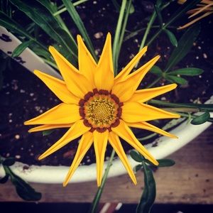 Meet your Posher, Rickie